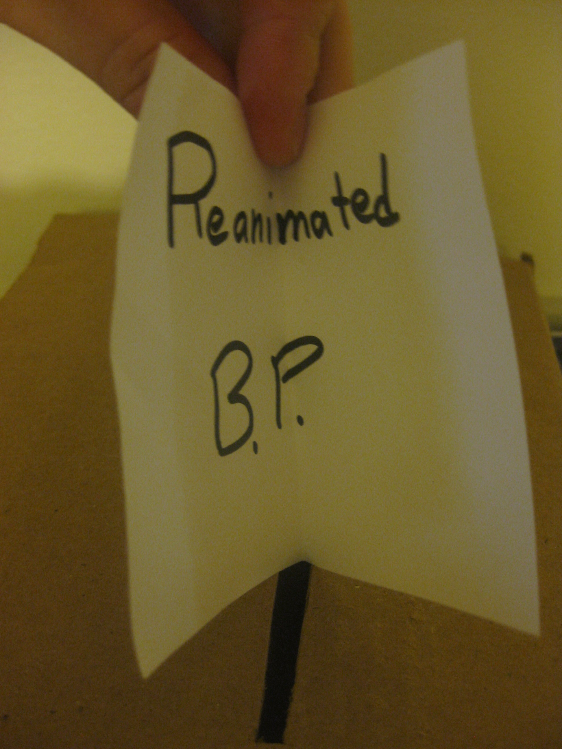 Reanimated B.P.